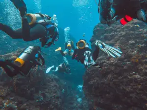 Mergulho de iniciação