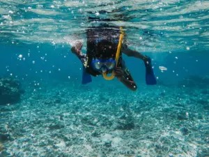 Snorkeling a bordo