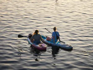 Stand up paddle