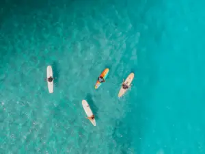 Stand up paddle