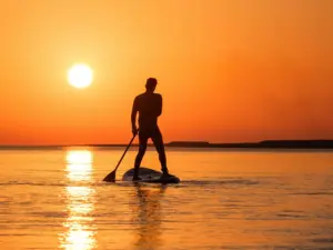 Stand up paddle