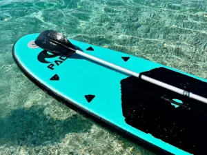 Stand up paddle
