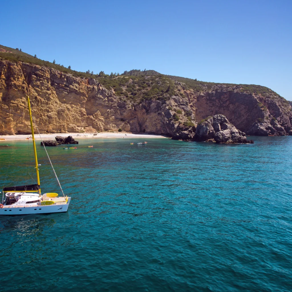 barco-1_gallery_00006