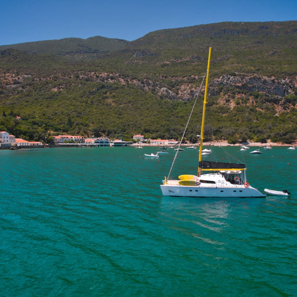 barco-1_gallery_00013