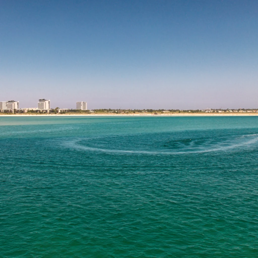 barco-1_gallery_00015