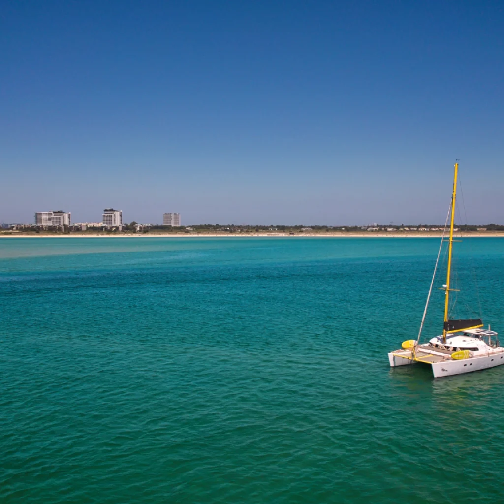 barco-1_gallery_00018