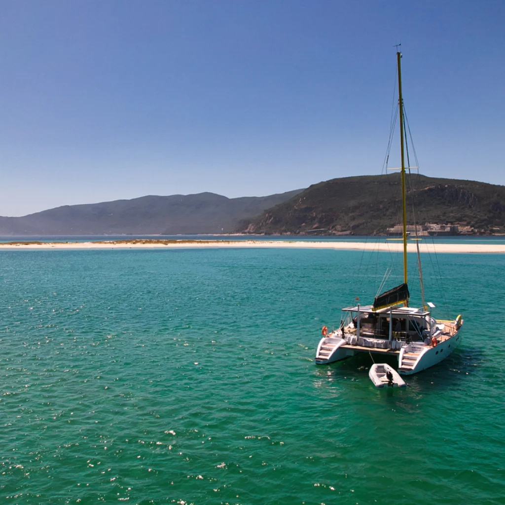 barco-1_gallery_00019