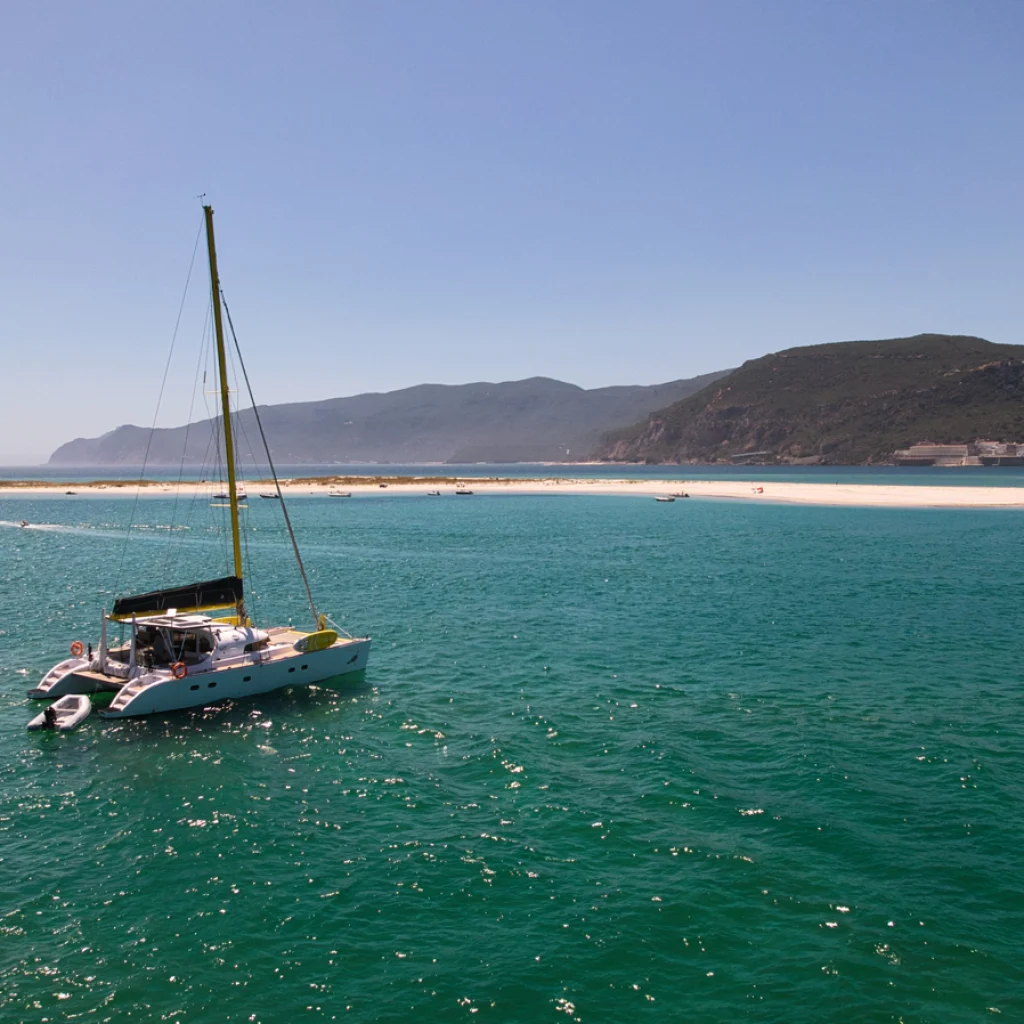 barco-1_gallery_00020