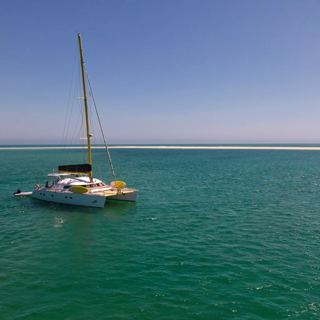 barco-1_gallery_00021