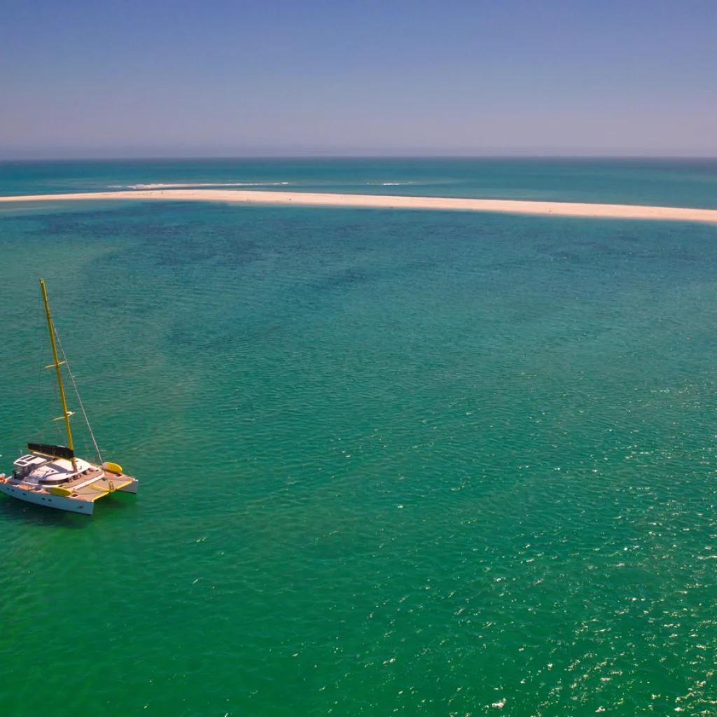 barco-1_gallery_00023