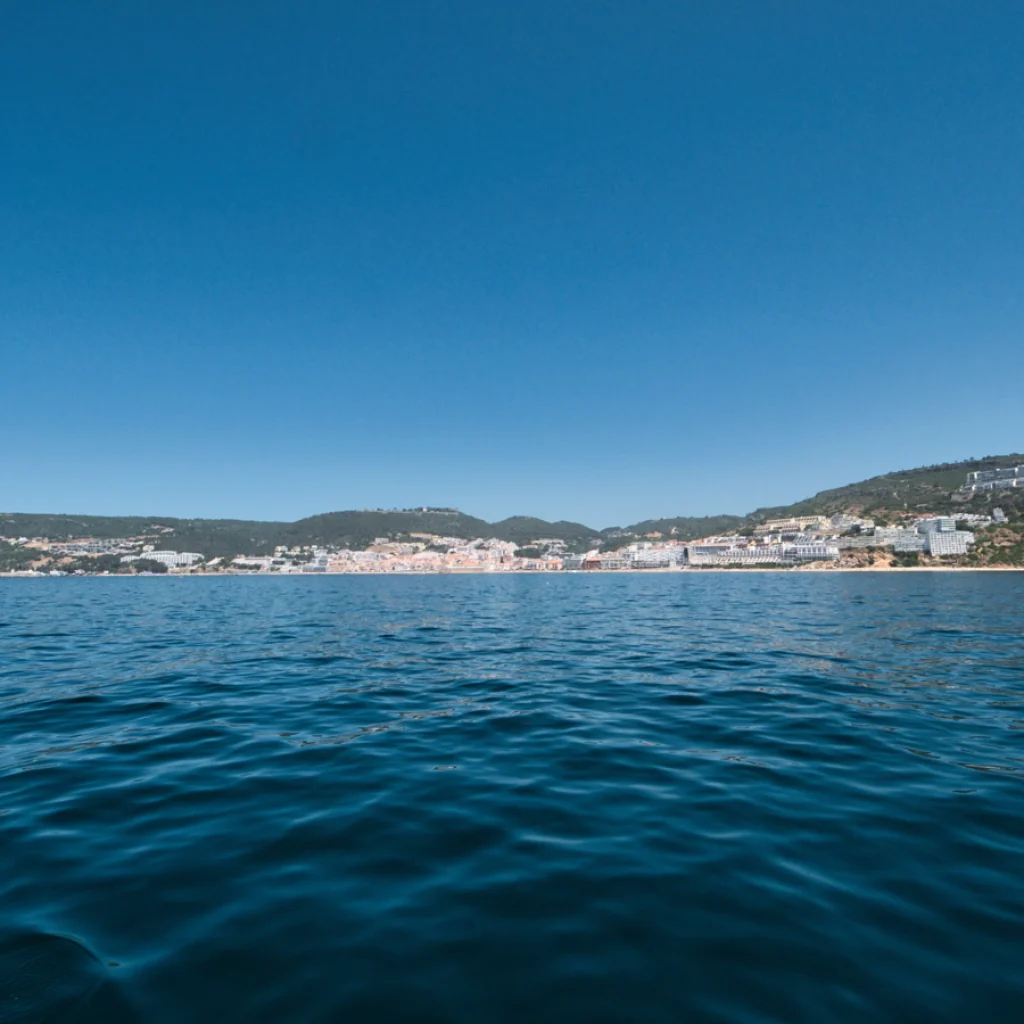 barco-1_gallery_00045