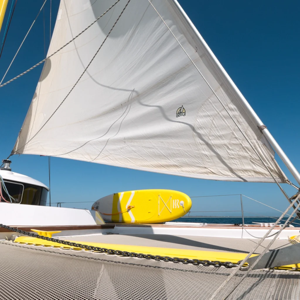 barco-1_gallery_00071