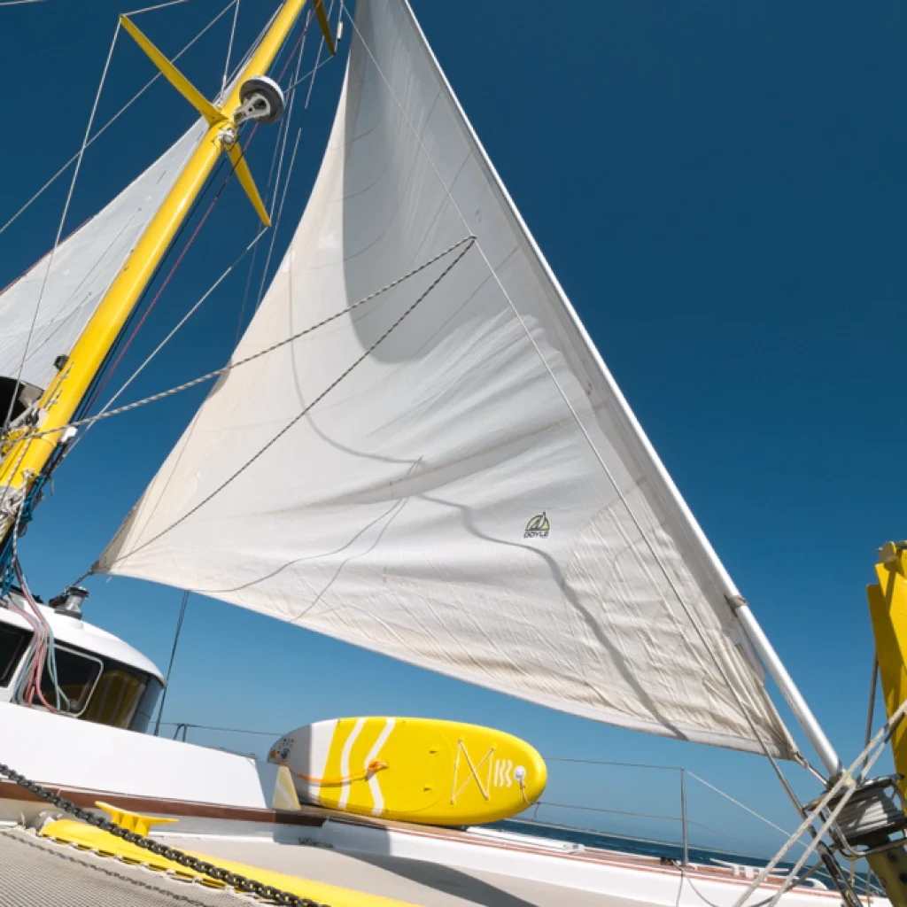 barco-1_gallery_00072