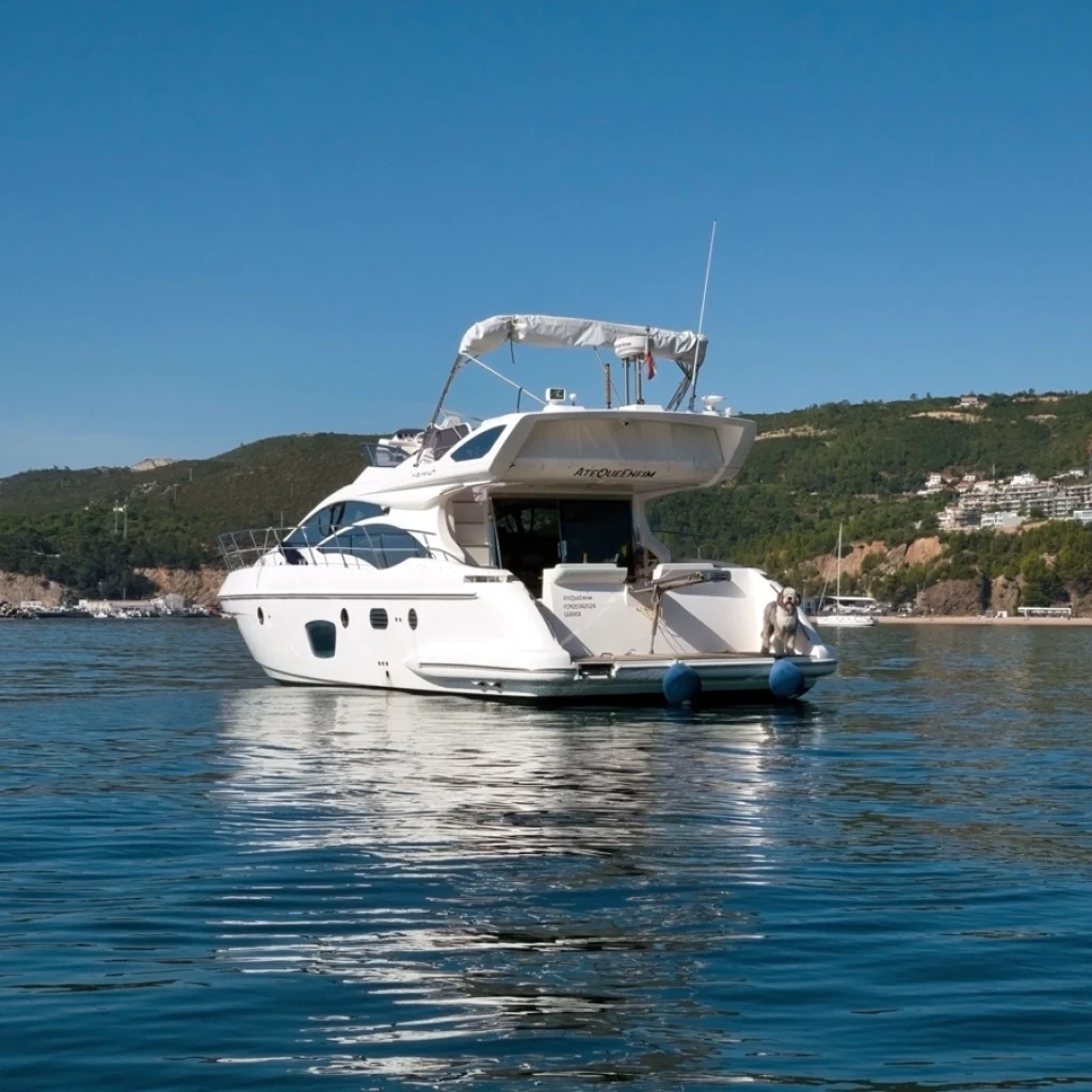 barco-3_gallery_00013